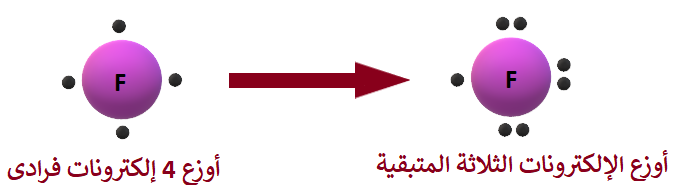 تركيب لويس لذرة الفلور تركيب لويس لذرة الفلور